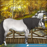 Horse Color:Platinum Buckskin Dun 