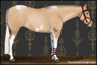 Horse Color:Silver Blue Roan Pearl Tobiano Frame 