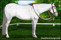 Horse Color:Platinum Buckskin Pearl Dun 