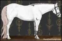 Horse Color:Platinum Buckskin Pearl Dun Appaloosa 