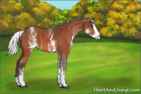 Horse Color:White Spotted Silver Bay Splash 