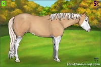 Horse Color:Silver Amber Champagne Splash