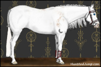 Horse Color:Silver Brown Pearl Sabino Splash 