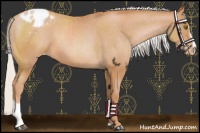 Horse Color:Chocolate Silver Bay Pearl Sabino Varnish 
