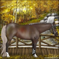 Horse Color:Silver Brown 
