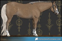 Horse Color:Silver Smoky Black