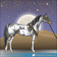 Horse Color:White Spotted Liver Chestnut Ice 