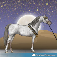 Horse Color:Liver Red Ice Roan Mushroom 