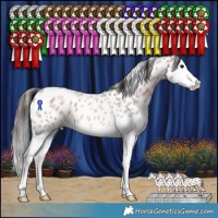 Horse Color:Bay Roan Splash Appaloosa Rabicano 