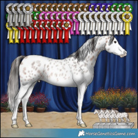 Horse Color:Bay Roan Splash Leopard Rabicano 
