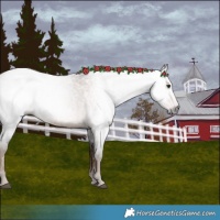 Horse Color:Gray White Spotted Chocolate Palomino Roan 