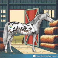 Horse Color:Liver Chestnut Mushroom Appaloosa 