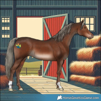 Horse Color:Liver Chestnut Mushroom 