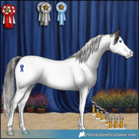 Horse Color:Buckskin Roan Splash Tobiano 