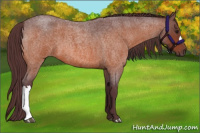 Horse Color:Chocolate Brown Roan