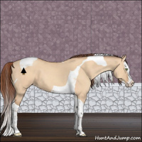 Horse Color:Amber Champagne Dun Splash Tobiano Varnish 