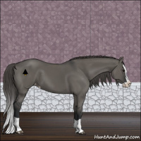 Horse Color:Grullo Splash Varnish 