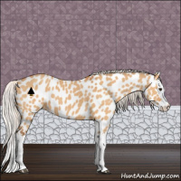Horse Color:Silver Bay Dun Splash Leopard 