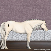Horse Color:Palomino Roan Pearl 