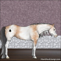 Horse Color:White Spotted Bay Dun 