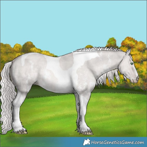Horse Color:Platinum Palomino Dun Sabino Tobiano 