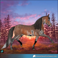 Horse Color:White Spotted Bay Splash 