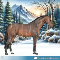 Horse Color:Bay Ice 