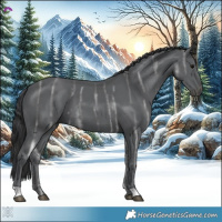 Horse Color:Black Ice 