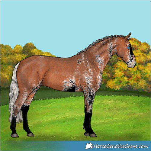 Horse Color:White Spotted Silver Bay Splash 