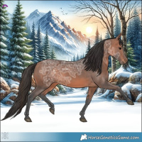 Horse Color:Bay Ice 
