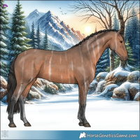 Horse Color:Bay Ice 