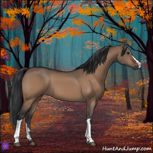 Horse Color:Bay Dun 