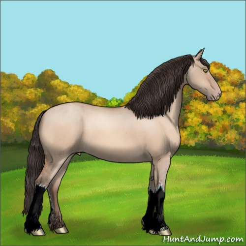 Horse Color:Sable Champagne Dun 