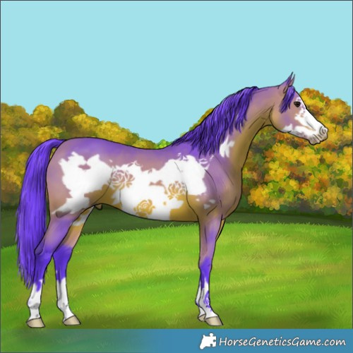 Horse Color:Watercolor Bay Frame 