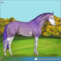 Horse Color:Watercolor Bay Splash 
