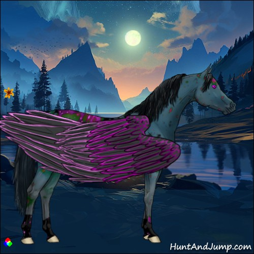 Horse Color:ERROR: UNKNOWN ANOMALY