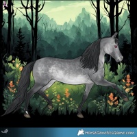 Horse Color:Brown Chinchilla 