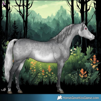 Horse Color:Silver Brown Chinchilla 