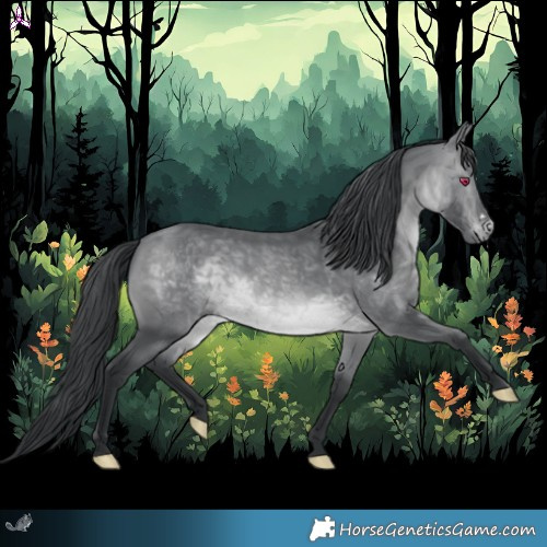 Horse Color:Brown Chinchilla 