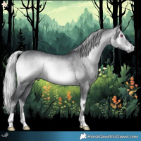 Horse Color:Silver Brown Chinchilla Onyx 