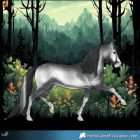 Horse Color:Blue Onyx Chinchilla 