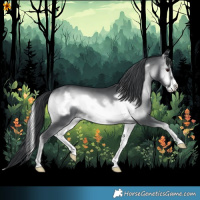 Horse Color:Blue Onyx Chinchilla Frame 