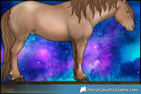 Horse Color:Liver Chestnut Pearl 