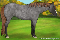 Horse Color:Liver Red Roan 
