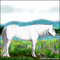 Horse Color:Brown Sabino 