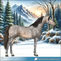 Horse Color:Buckskin Ice 
