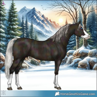 Horse Color:Midnight Silver Brown Ice Dun Splash 
