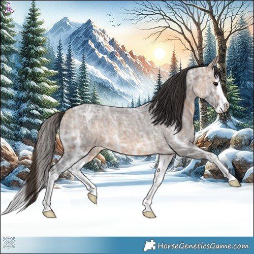 Horse Color:Buckskin Ice Roan Splash 