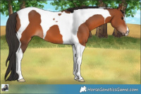 Horse Color:Bay Tobiano