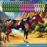 Horse Color:Silver Bay Tobiano  and ERROR: UNKNOWN ANOMALY
